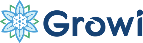 Growi ERP, inicio